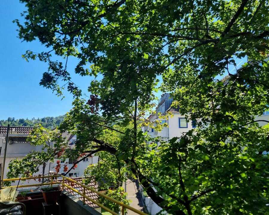 DG - Ausblick Balkon